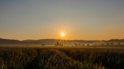 The prime time of wetlands
